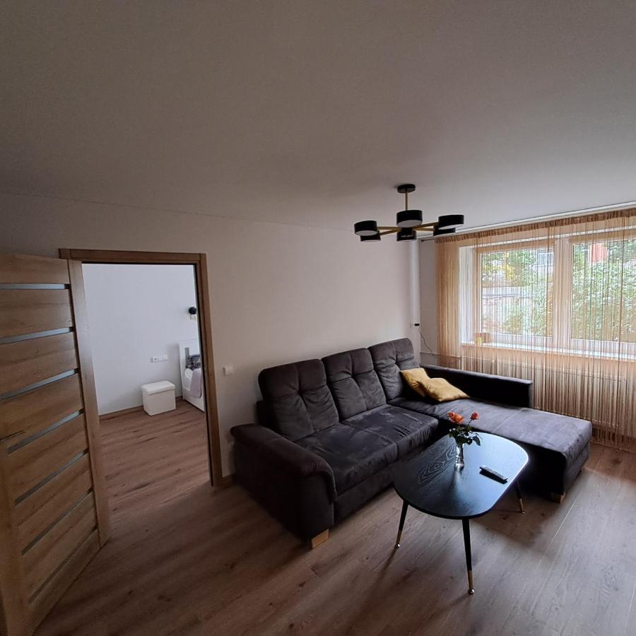Vytes Apartamentai Каунас Экстерьер фото